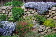 Steingarten mit Terrasse